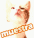 chats