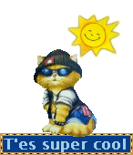 vs me trouver cool alor laisser moi des comm's